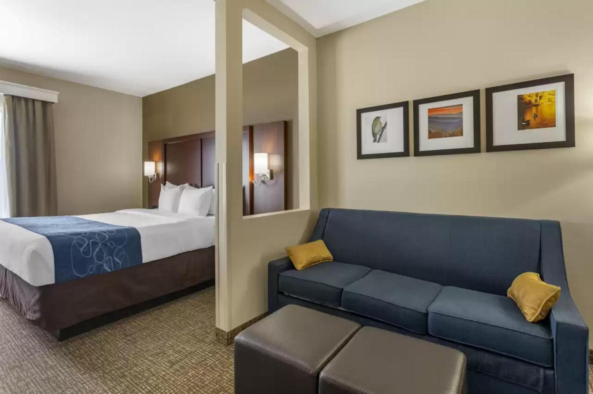 Comfort Suites At Rivergate Mall Goodlettsville Eksteriør bilde